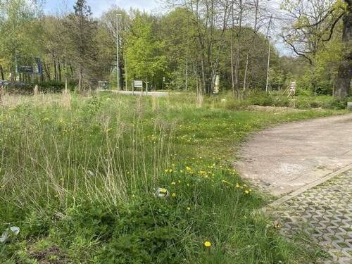 Bild 7 - Erfüllen Sie sich Ihren Traum - 2.500,00 EUR Kaltmiete, ca.  0,00 m²
