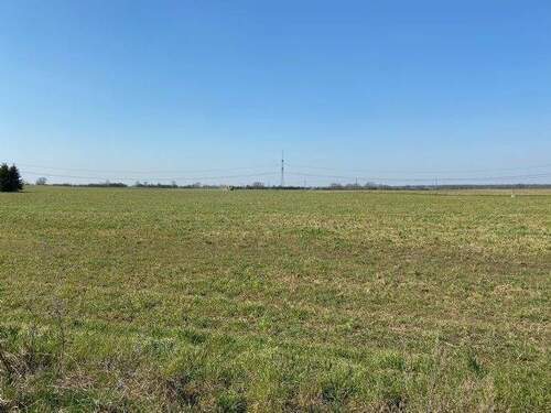 Blick über die Felder nach Südwest - 