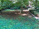 Hinterhof - 