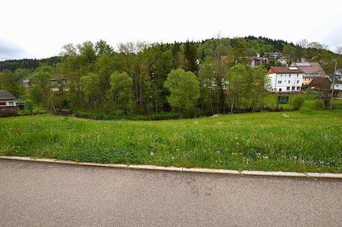 Ansicht Süden - Grundstück zum Kaufen in Loßburg / Betzweiler