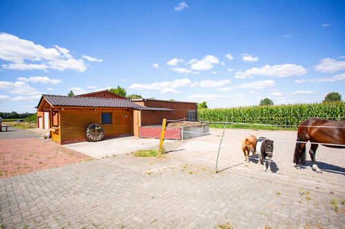 X_Gartenahus - Mehrfamilienhaus, Wohnhaus mit 387,00 m&sup2; in Bad Essen / Rabber zum Kaufen