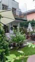 Garten-54.jpg - 