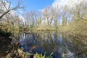 Ausblick - 