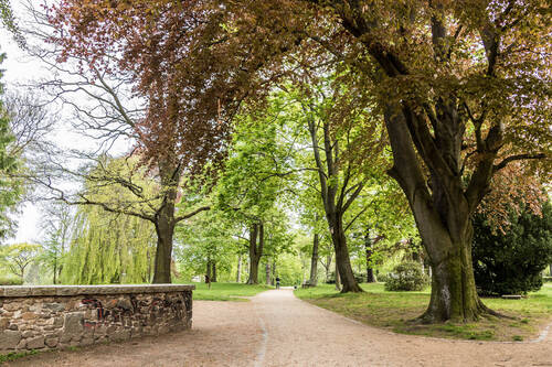 0463_Löbau_Umgebung_MVO_Immo - 