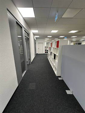 Bild8 - 
