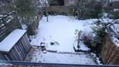 Garten im Winter - 