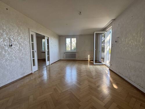 Zimmer - 