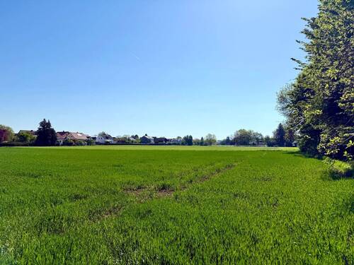 Wohnen an den Grünen Feldern - 