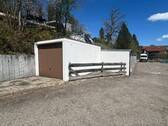 IMG_6288 - 