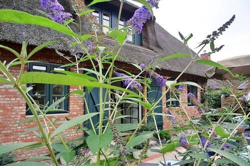 Rückansicht - 4 Zimmer Mehrfamilienhaus, Wohnhaus zum Kaufen in Oevenum