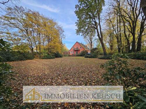 Großes Grundstück vorne - 