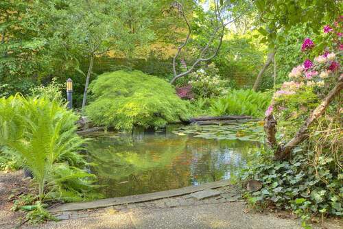 Sitzecke mit Teich - Bauland in 2. Reihe in Lichterfelde