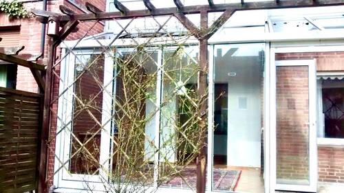 Wintergarten - 