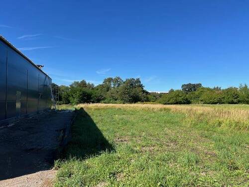 Grundstück - Gewerbegrundstück in Brinckmansdorf zu verkaufen