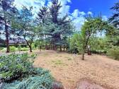 Gartenansicht mit Baumbestand - 