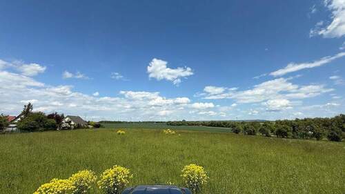 2025-05-26 13.02.24 - 