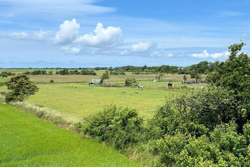 Pferdekoppel zum Haus - 