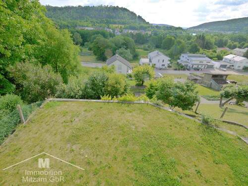 Blick in den Garten - 