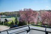 Blick von der Dachterrasse zum See - 5 Zimmer Mehrfamilienhaus, Wohnhaus zum Kaufen in Woltersdorf