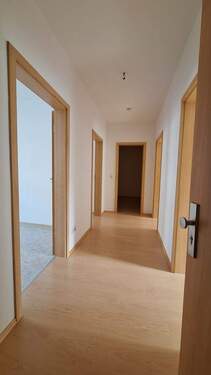 20241007_113143.jpg - 