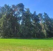 Bauerwartungsland - 50.000,00&nbsp;EUR Kaufpreis, ca.&nbsp; 0,00&nbsp;m&sup2; in Büchenbach (PLZ: 91186) Aurau