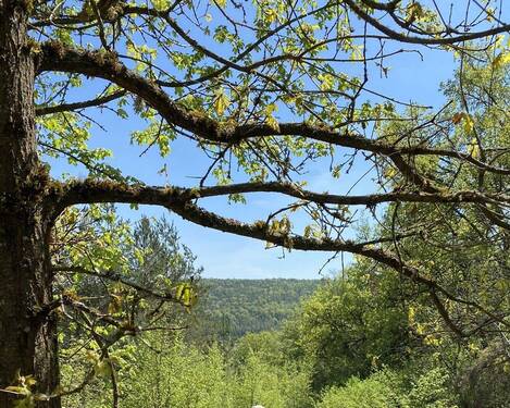 Idyllische Lage - Nähe Regensburg - idyllisches Freizeitgrundstück auf der Girnitz