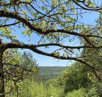 Nähe Regensburg - idyllisches Freizeitgrundstück auf der Girnitz - Duggendorf