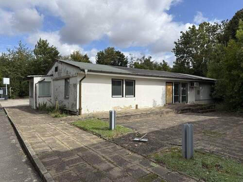 IMG_5815 - Halle in Halle (Saale) zum Kaufen