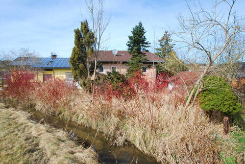 Bild 17 - 