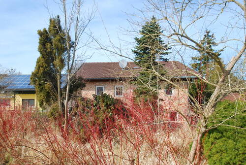 Bild 13 - 