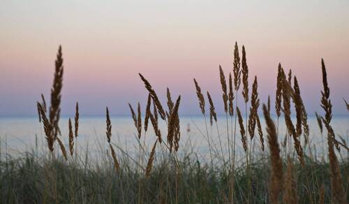 nur wenige Meter zum See - 