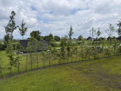 Bild 21 - 
