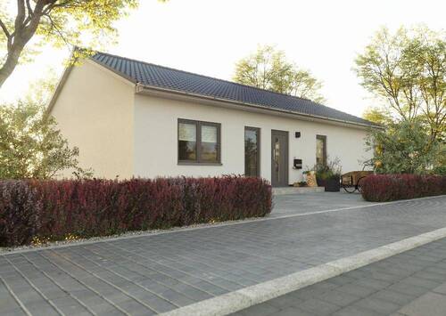 Bungalow 100 - 