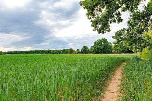 Am Sailersberg-Umgebung - 