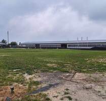 Neuer Unternehmensstandort gesucht? Attraktives Gewerbegrundstück mit sehr guter Verkehrsanbindung in zentraler Lage von Stralsund zu verkaufen