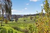 Ausblick Garten - 
