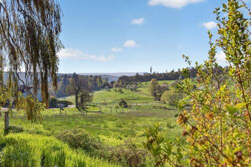 Ausblick Garten - 