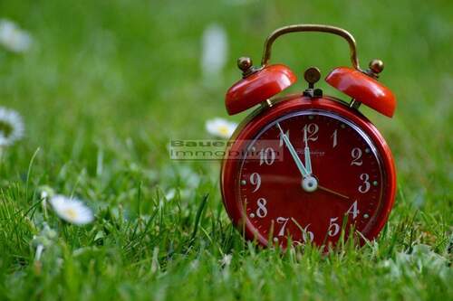 Grundstück_Uhr - Großes Bauträgergrundstück in Friedrichshofen zu verkaufen