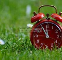 Großes Bauträgergrundstück in Friedrichshofen zu verkaufen - Ingolstadt