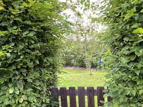 Blick in den Apfelgarten - 