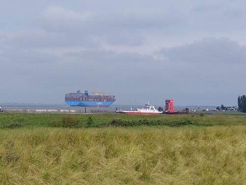 Blick zur Elbe - Traumgrundstück am Deich mit Elbblick