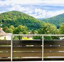 TRADITIONELL: TRAUMAUSSICHT, GROSSES FAMILIENHAUS, EINBAUKÜCHE, 2 STELLPLÄTZE - Heidelberg Schlierbach