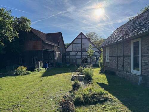 Blick vom hinteren Garten in H - 