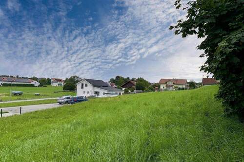 Blick nach Süden - Grundstück in Vilgertshofen zum Kaufen