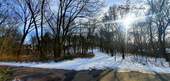 Volkspark Rehberge - 