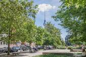 Schendelpark in der Umgebung - 