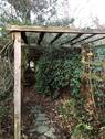 Weg zum Gartenhaus - 