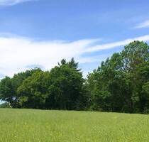 Bebautes Gartengrundstück mit Blick zur Burg Schönfels in völliger Alleinlage. - Lichtentanne