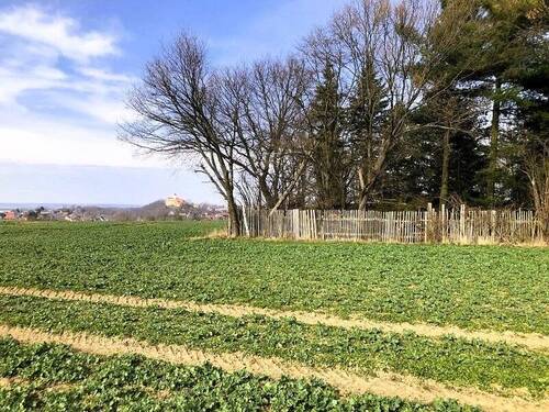Blick zur Burg Schönfels - Grundstück in Lichtentanne