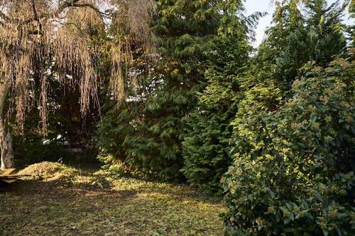 Garten - 6 Zimmer Bungalow in Schwanewede